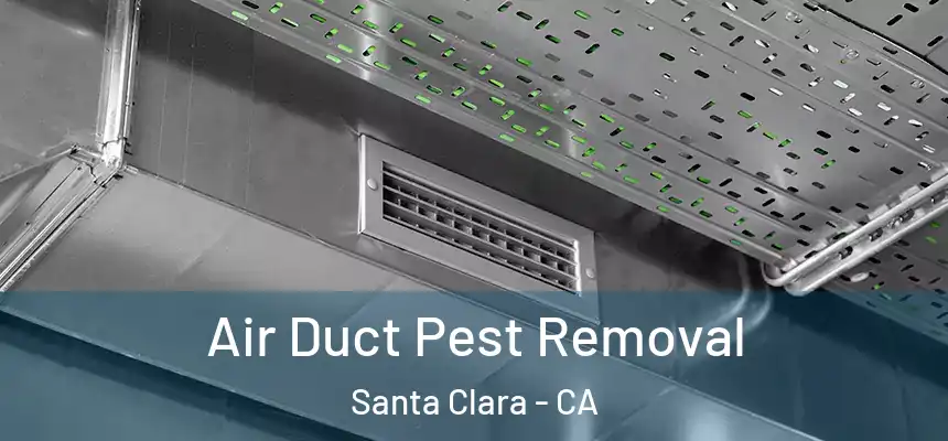 Air Duct Pest Removal Santa Clara - CA