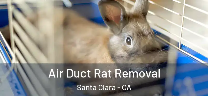 Air Duct Rat Removal Santa Clara - CA