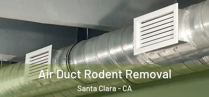 Air Duct Rodent Removal Santa Clara - CA