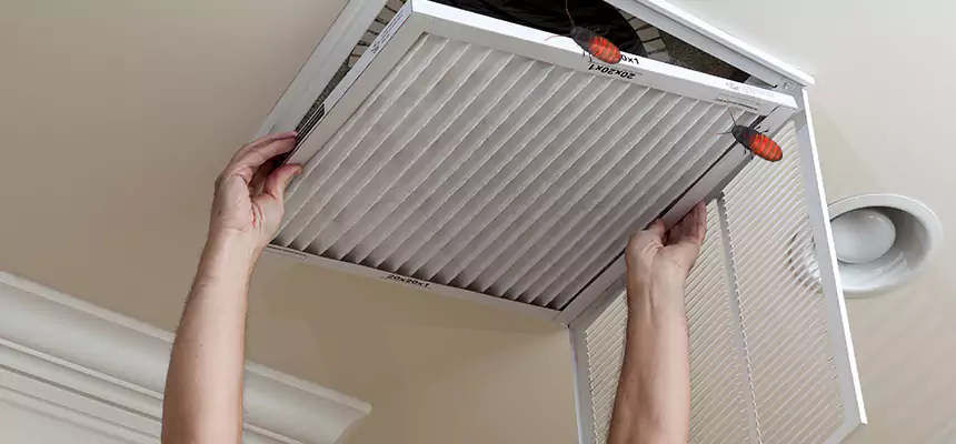 Preventive Cockroach-Proofing for Ducts in Santa Clara