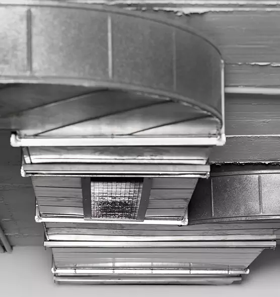 Professional Air Duct Pest Removal in Santa Clara, CA